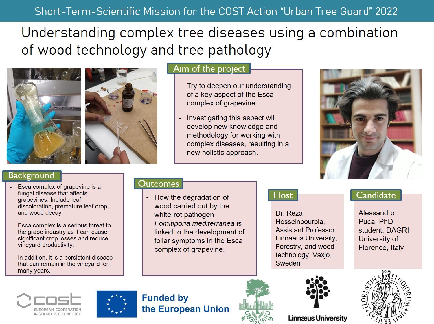 Understanding complex tree diseases using a combination of wood technology and tree pathology