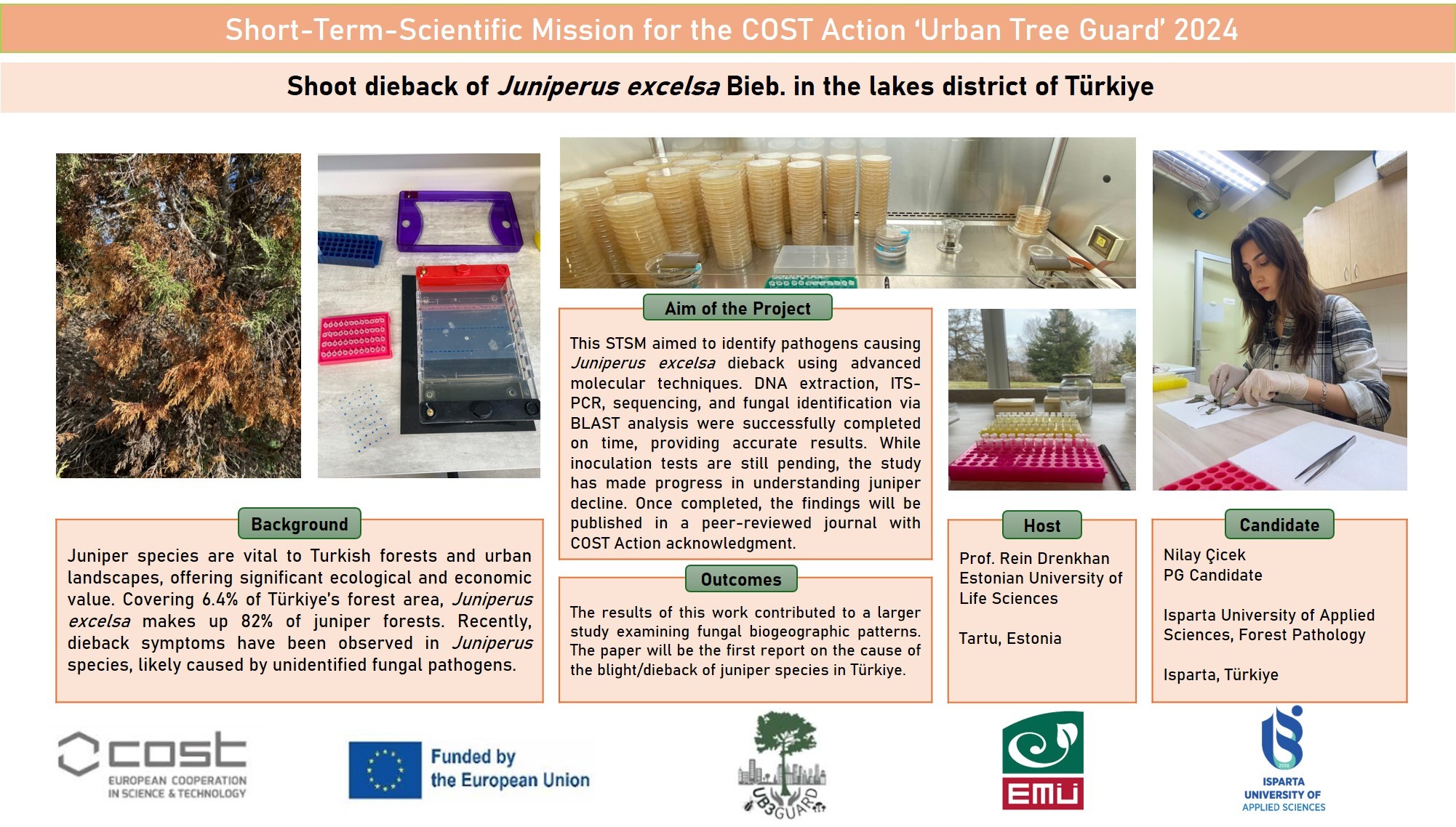 Shoot dieback of Juniperus excelsa Bieb. in the lakes district of Türkiye